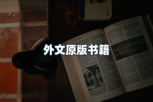 外文原版书籍